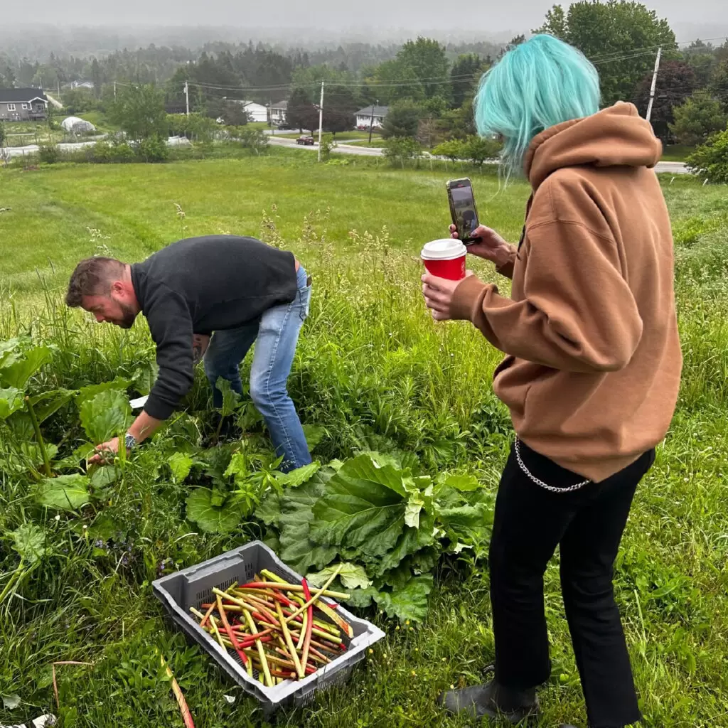 Milberry Marketing Content Creation with the Saint John Ale House