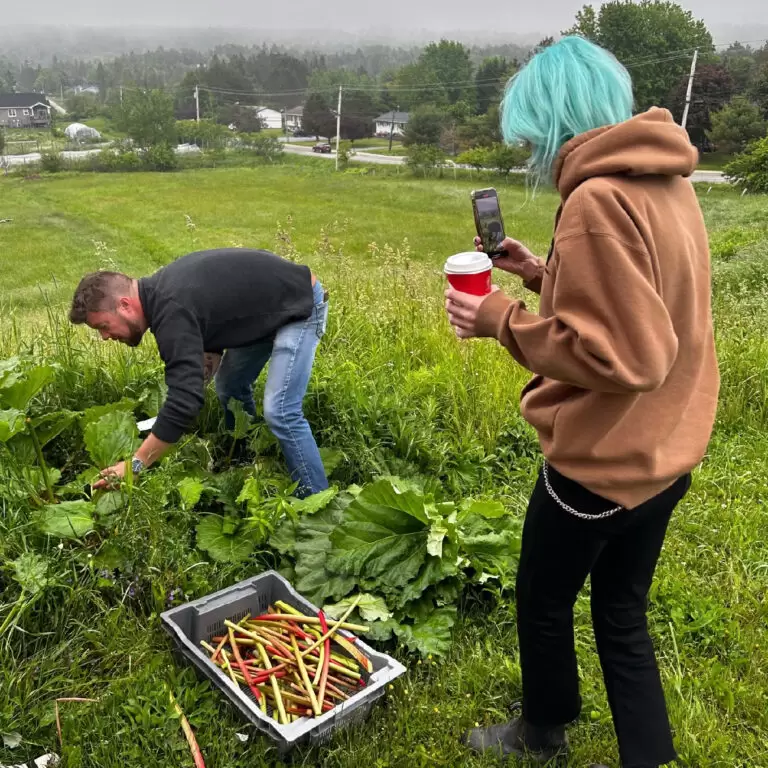 Milberry Marketing Content Creation with the Saint John Ale House